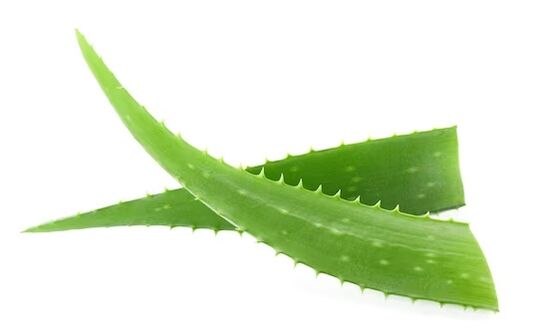 RAND FUNGEENT CAND contén Aloe Vera